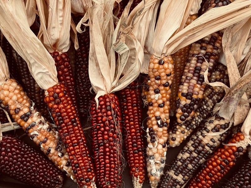Plant-Based Ingredients
